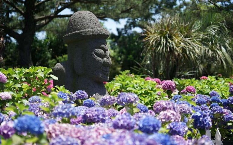 Jeju Hydragea Festival Tour : EAST Route - Exploring Jeju’s East Route: The Itinerary Breakdown