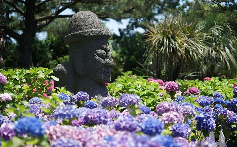 Jeju Hydragea Festival Tour : EAST Route - Exploring Jeju’s East Route: The Itinerary Breakdown