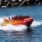 Jeju island Jumbo Taxi Private Tour with Mr.Hong South of Jeju - The Experience: What You Can Expect