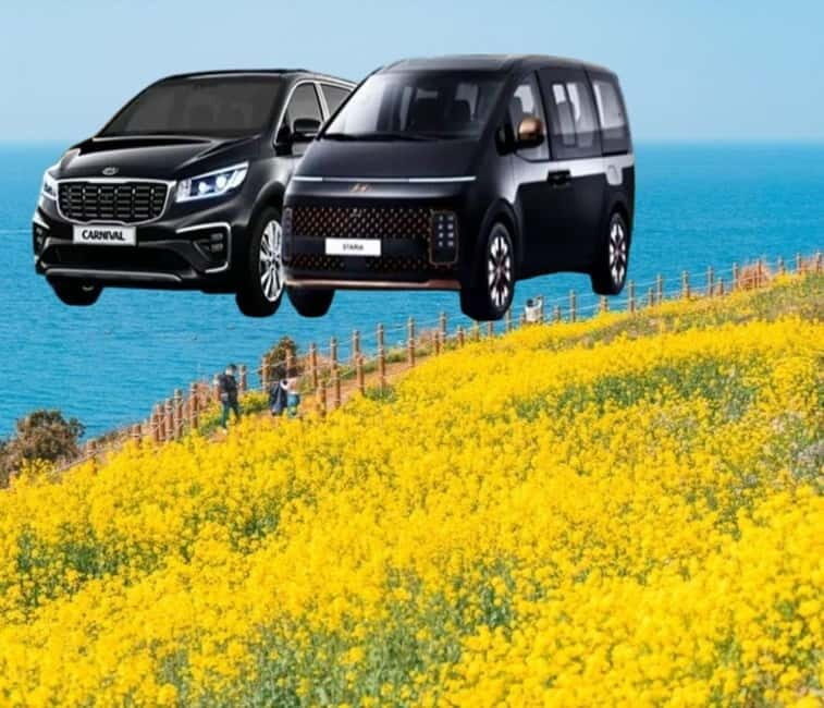 Jeju Island: Private Car Charter Tour - How the Customization Works