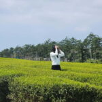 Jeju: West & South Full-Day Authentic Tour - Transportation & Group Size: Comfort & Intimacy