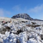 Jeju WEST&SOUTH One Day Tour with MT.halla & UNESCO - An In-depth Look at the Itinerary