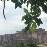 jodhpur blue city walking tour with guide - Why This Tour Is a Great Match for You
