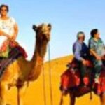 Jodhpur Camel & Jeep Safari with Sunset, Folk Dance, Dinner - A Closer Look at the Tour Experience