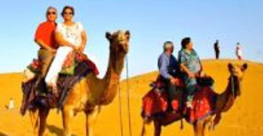 Jodhpur Camel & Jeep Safari with Sunset, Folk Dance, Dinner - A Closer Look at the Tour Experience
