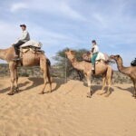 Jodhpur: Overnight Stay in Desert with Camel Safari - Why This Tour Offers Great Value