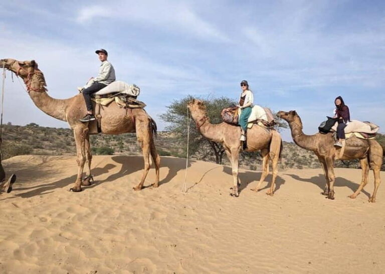 Jodhpur: Overnight Stay in Desert with Camel Safari - Why This Tour Offers Great Value