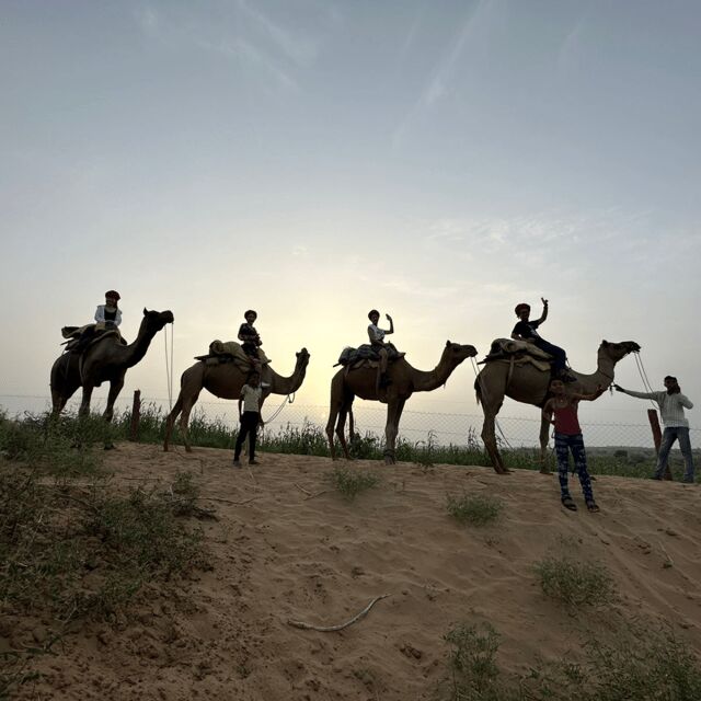 Jodhpur OvernightStay In Desert Rural Village With CamelRide - The Magic of Sunset and Night Under the Stars