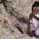 John Gray's Sea Canoe Hong by Starlight Tour - Final Thoughts: Is It Worth It?