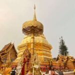 Join Chiangmai Anocheciendo - Detailed Experience Breakdown