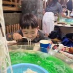 Kagoshima: Ibusuki City and Mount Kaimon Dake Tour - FAQs