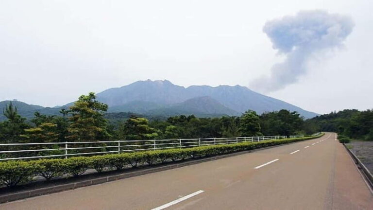 Kagoshima: Volcanos Embrace  Sakurajima View Experience - Who Should Consider This Tour?