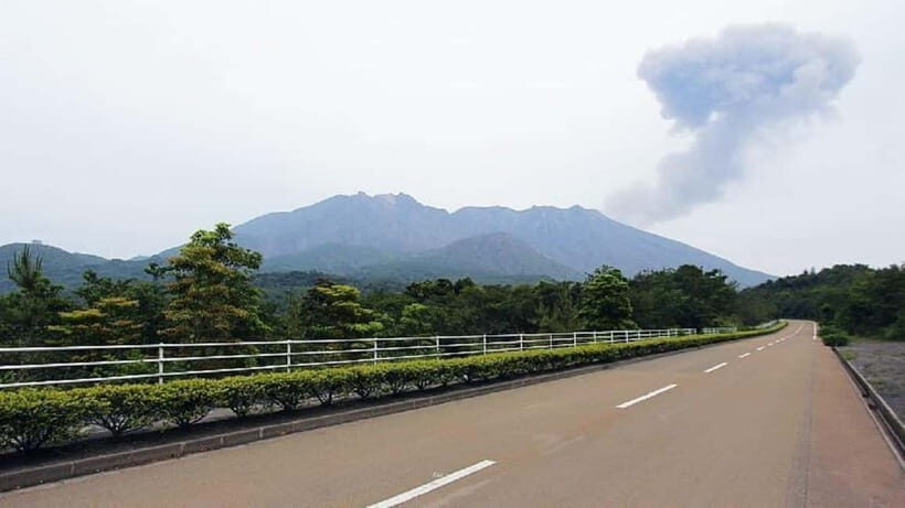Kagoshima: Volcanos Embrace  Sakurajima View Experience - Who Should Consider This Tour?
