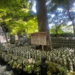 Kamakura and Enoshima: Private Guided Day Tour with Vehicle - Authentic Insights & Real Experiences