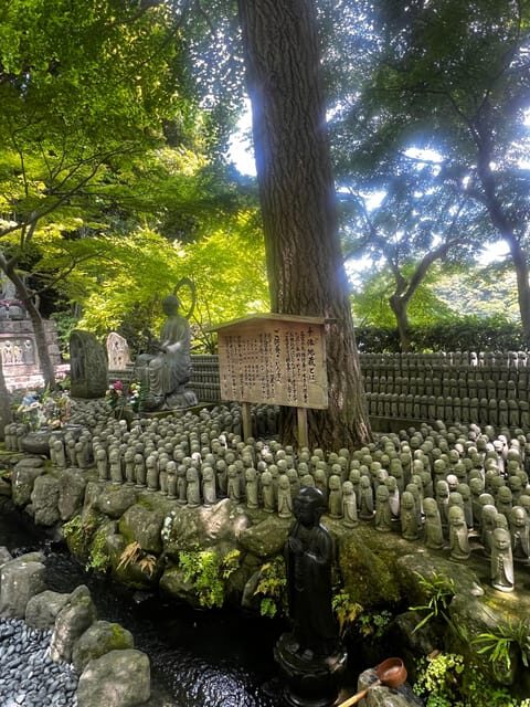 Kamakura and Enoshima: Private Guided Day Tour with Vehicle - Authentic Insights & Real Experiences