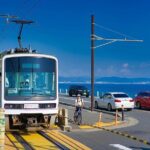 Kamakura Full Day Walking Tour with Local Expert Guide and Pickup - What You Can Expect From the Experience