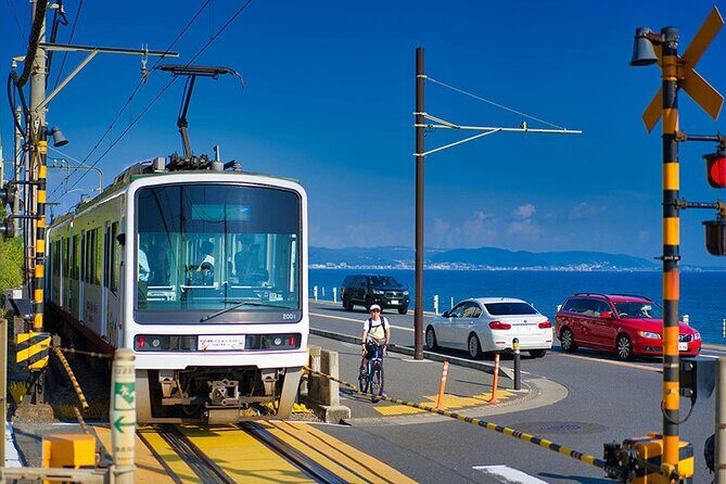 Kamakura Full Day Walking Tour with Local Expert Guide and Pickup - What You Can Expect From the Experience