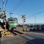 Kamakura: Temples, Shrines & Buddha Walking Tour - What’s Included and What to Expect