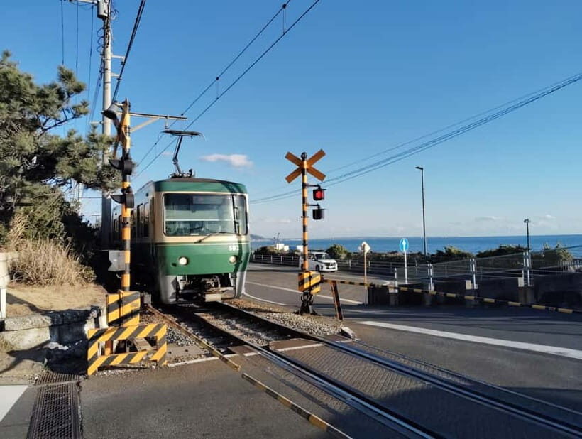 Kamakura: Temples, Shrines & Buddha Walking Tour - What’s Included and What to Expect