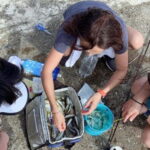 Kanazawa: Fishing Experience with Gyotaku and Cooking - Practical Details