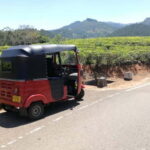 Kandy: City Explore with Local guide By Mini Van - What to Expect From the Tour