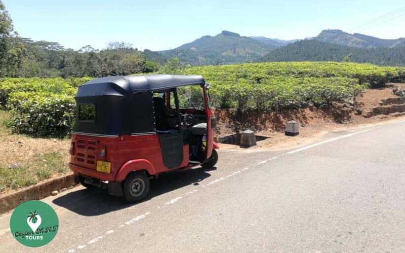 Kandy: City Explore with Local guide By Mini Van - What to Expect From the Tour