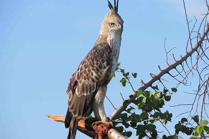 Kandy City Tour by Lux Tours Lanka - The Sum Up: Who Will Love This Tour?