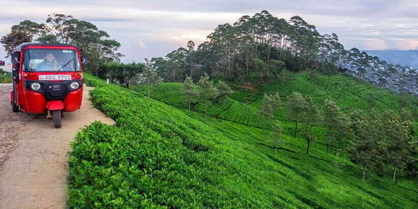 Kandy: Nuwara Eliya Day Trip - Practical Tips & Considerations