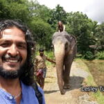 Kandy : Pinnawala Elephant Safari Tour with Kandy City Tour - The Experience of the Guides