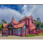 Kandy to Nuwara Eliya Day Tour - Who is This Tour Best For?