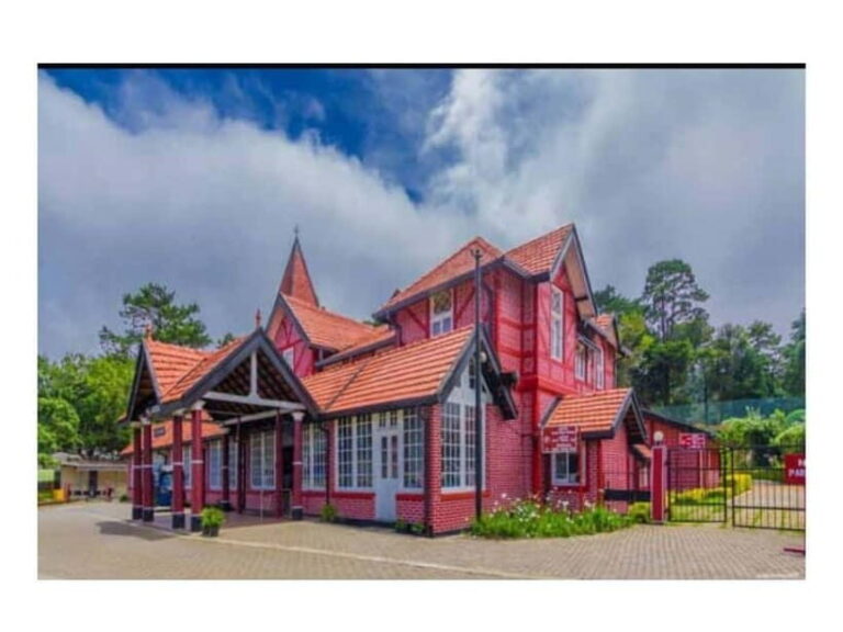 Kandy to Nuwara Eliya Day Tour - Who is This Tour Best For?