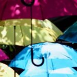 Kanto 10-hour chartered day tripKaruizawa - What You Can Expect on This Day Trip