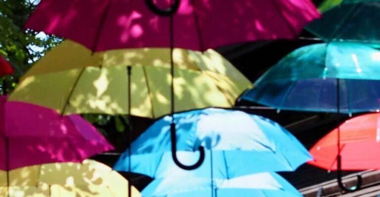 Kanto 10-hour chartered day tripKaruizawa - What You Can Expect on This Day Trip