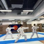 Karate Experience with the Shotokan Karate-do Instructor - What’s Included and What to Expect