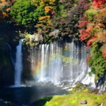 Karuizawa Private Customize Day Tour - Why This Tour Offers Great Value