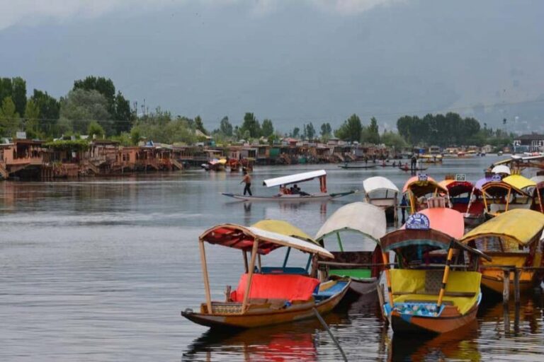 Kashmir Holiday Packages 4 Night 5 Days - Detailed Insight into Accommodations and Transportation