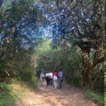 Kathmandu: 1N-2D Hiking to Chisapani and Nagarkot - Day 1: From Kathmandu to Chisapani — Nature, Culture, and Tranquility