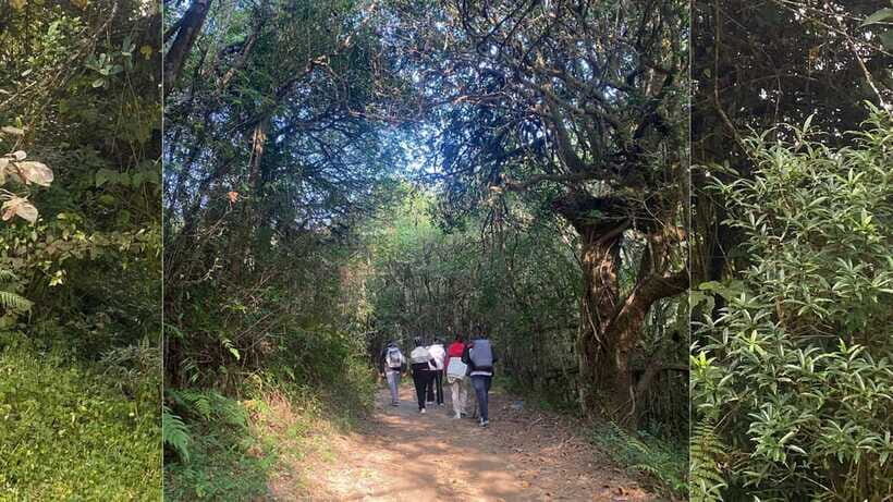 Kathmandu: 1N-2D Hiking to Chisapani and Nagarkot - Day 1: From Kathmandu to Chisapani — Nature, Culture, and Tranquility