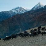 Kathmandu: Khopra Ridge Trek with Panoramic Views - Day-by-Day Breakdown and What You’ll Experience