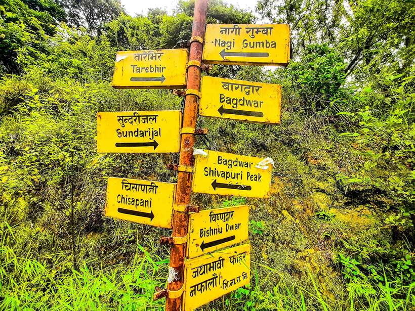 Kathmandu: Shivapuri Hill Day Hike with Lunch box - What to Expect on the Trail