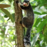 Kaudulla National Park Private Elephant Safari - What’s Included and What’s Not