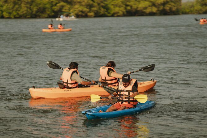Kayaking At Private Island In Goa - Who Would Love This Experience?