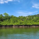 Khao Lak: Khao Na Yak Sightseeing & Snorkeling Small Group - The Itinerary: What You Can Expect