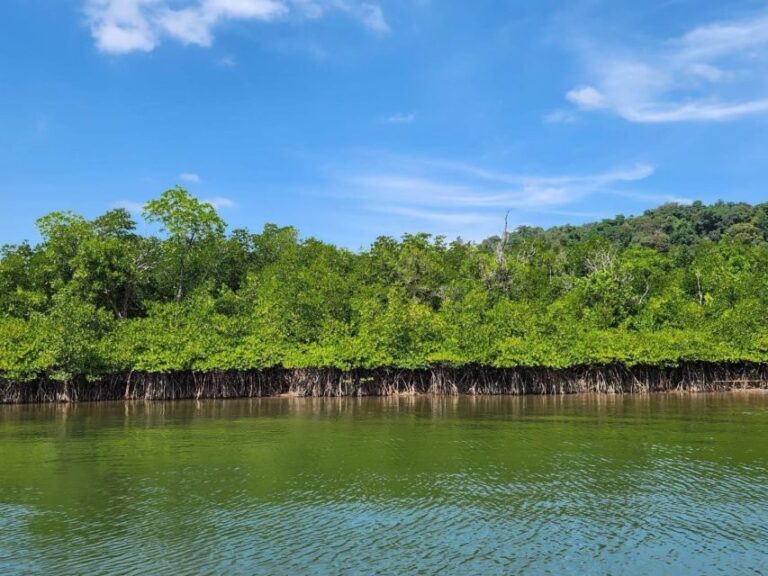 Khao Lak: Khao Na Yak Sightseeing & Snorkeling Small Group - The Itinerary: What You Can Expect