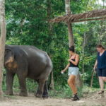 Khaolak: Elephant Sanctuary Hightlights Guide & Forage Tour - The Value of the $45 Price Tag