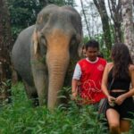 Khaolak: Sunset Elephant Walk with Complimentary Cocktail - Why the Price of $40 Offers Solid Value