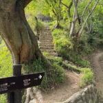 Kobe: Night Hike Adventure and local dining experience tour - Who Is This Tour Best For?