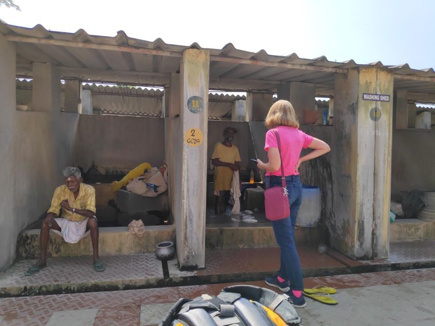 Kochi to Marari/ Kumarakom/ Alleppey Cycling Tour (Full Day) - Who Will Love This Tour?