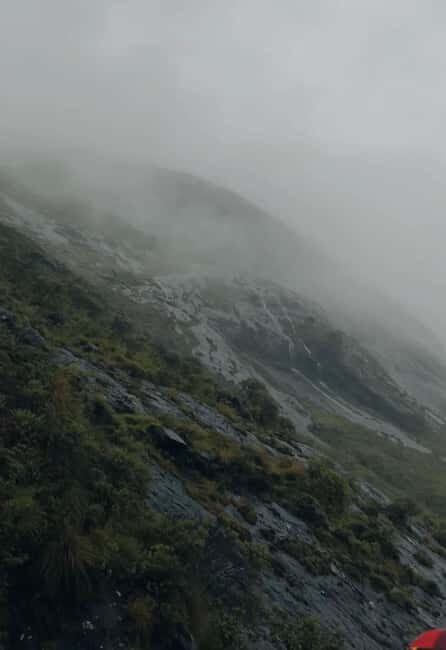 Kochi to Munnar: Eravikulam, Tea Estate and Waterfalls - The Overall Experience: Who Will Love It?