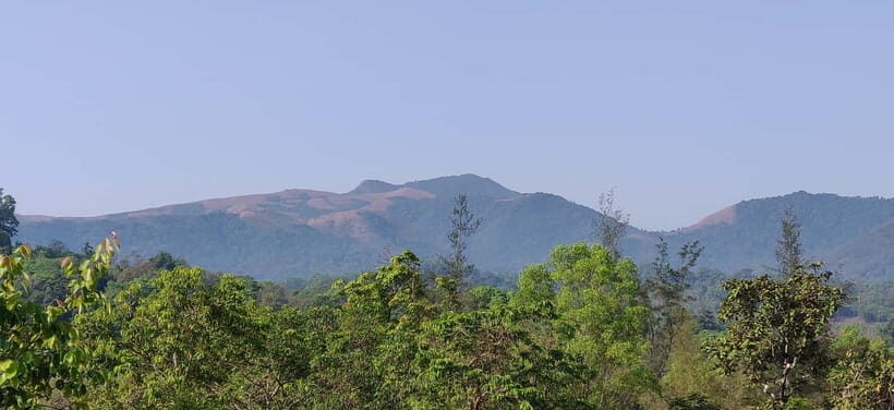 Kodachadri: Summit Trek with forest and cave experience - What to Expect on the Kodachadri Trek